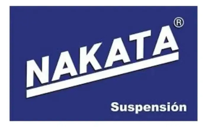 NAKATA-NB4979 (ML MLA68021996 #2)