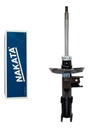 NAKATA-HG 41379 (ML MLA57102928 #1)
