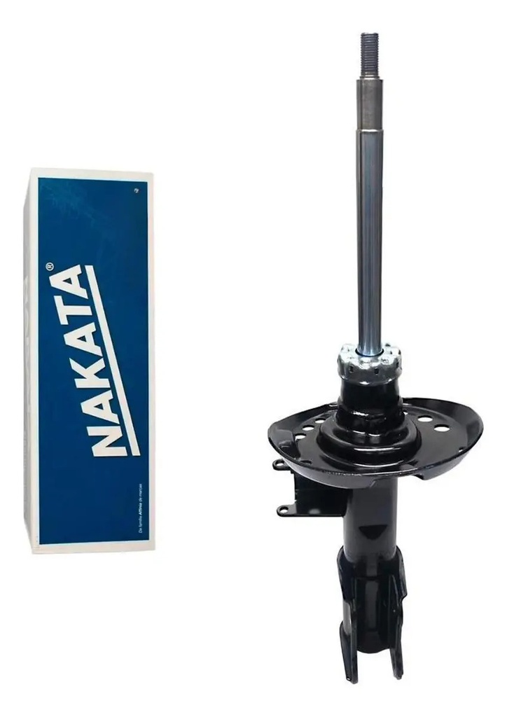 NAKATA-HG 41380 (ML MLA56707197 #1)