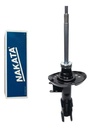 NAKATA-HG 41380 (ML MLA56707197 #1)