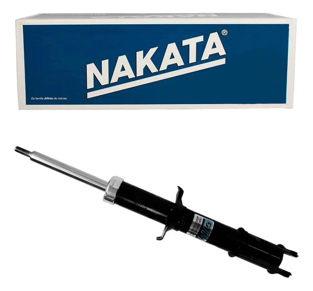 NAKATA-HG41314 (ML MLA40005799 #1)