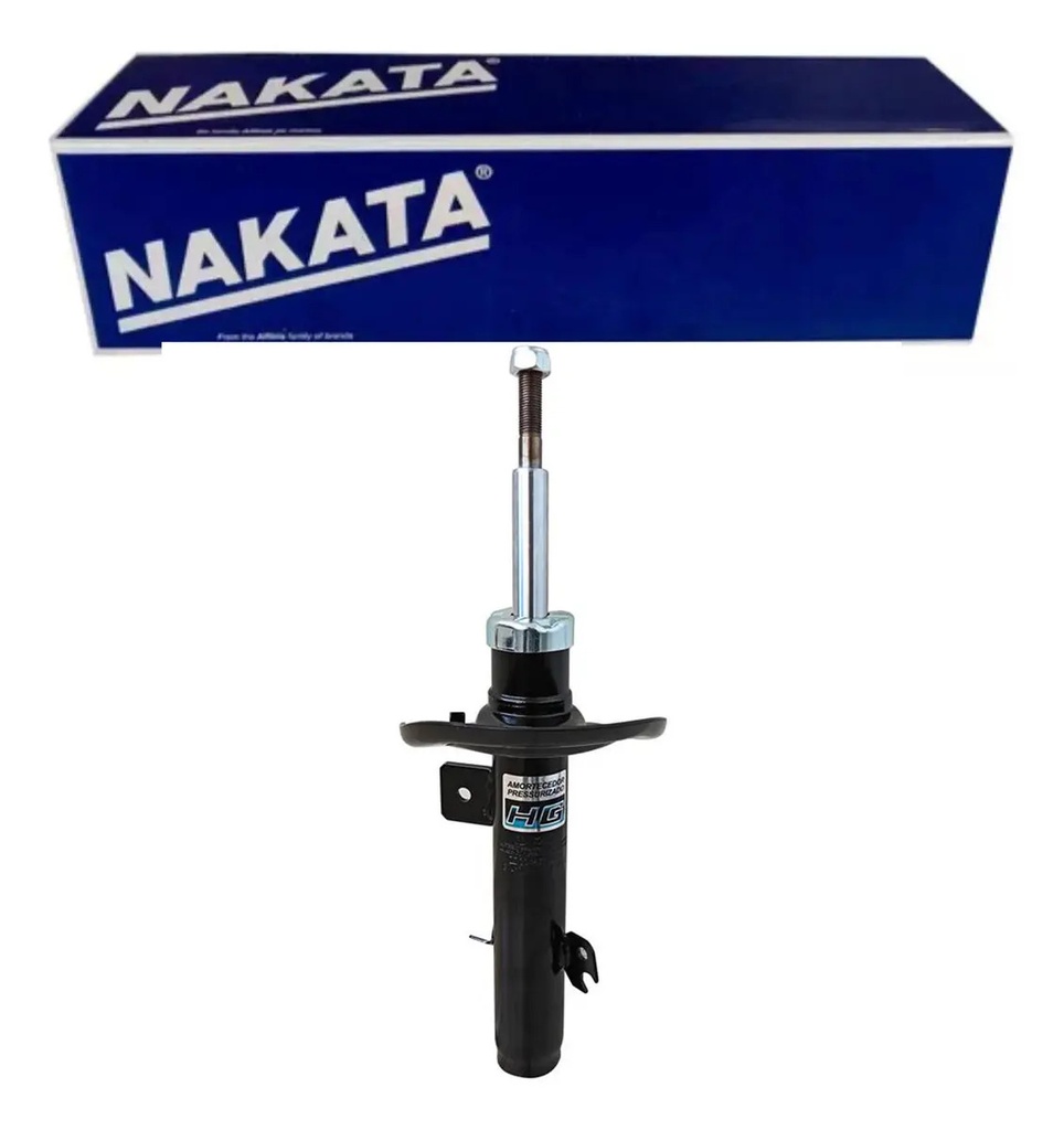 NAKATA-HG41047 (principal)