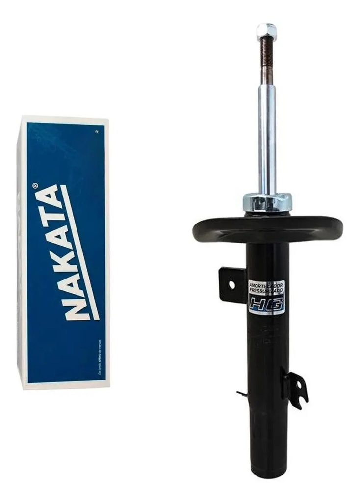 NAKATA-HG41050 (principal)
