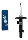 NAKATA-HG41050 (principal)
