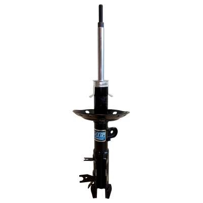 NAKATA-HG41145 (principal)