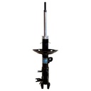 NAKATA-HG41145 (principal)