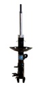 NAKATA-HG41145 (ML MLA47678472 #1)