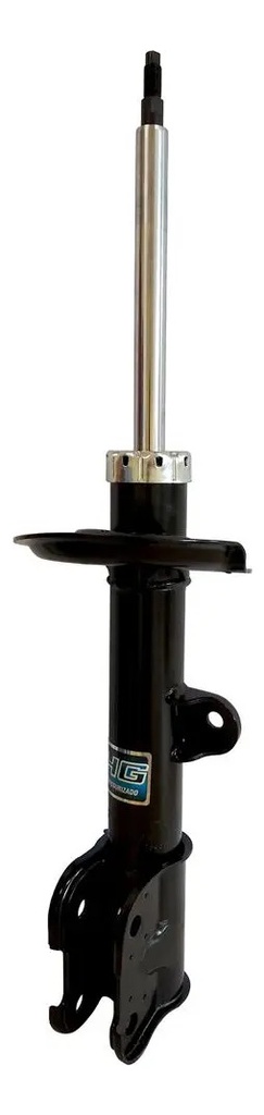 NAKATA-HG41199 (ML MLA61400492 #1)