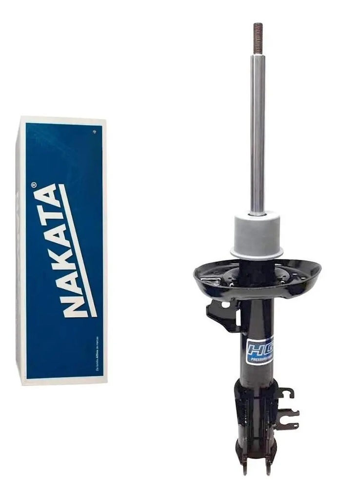 NAKATA-HG41363 (ML MLA56708319 #1)