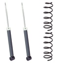 KIT 2 AMORTIGUADORES + 2 ESPIRALES TRASEROS NAKATA + AG - AC31211+1-041132