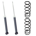 KIT 2 AMORTIGUADORES + 2 ESPIRALES TRASEROS REFORZADOS NAKATA + AG - AC31211+1-041132R