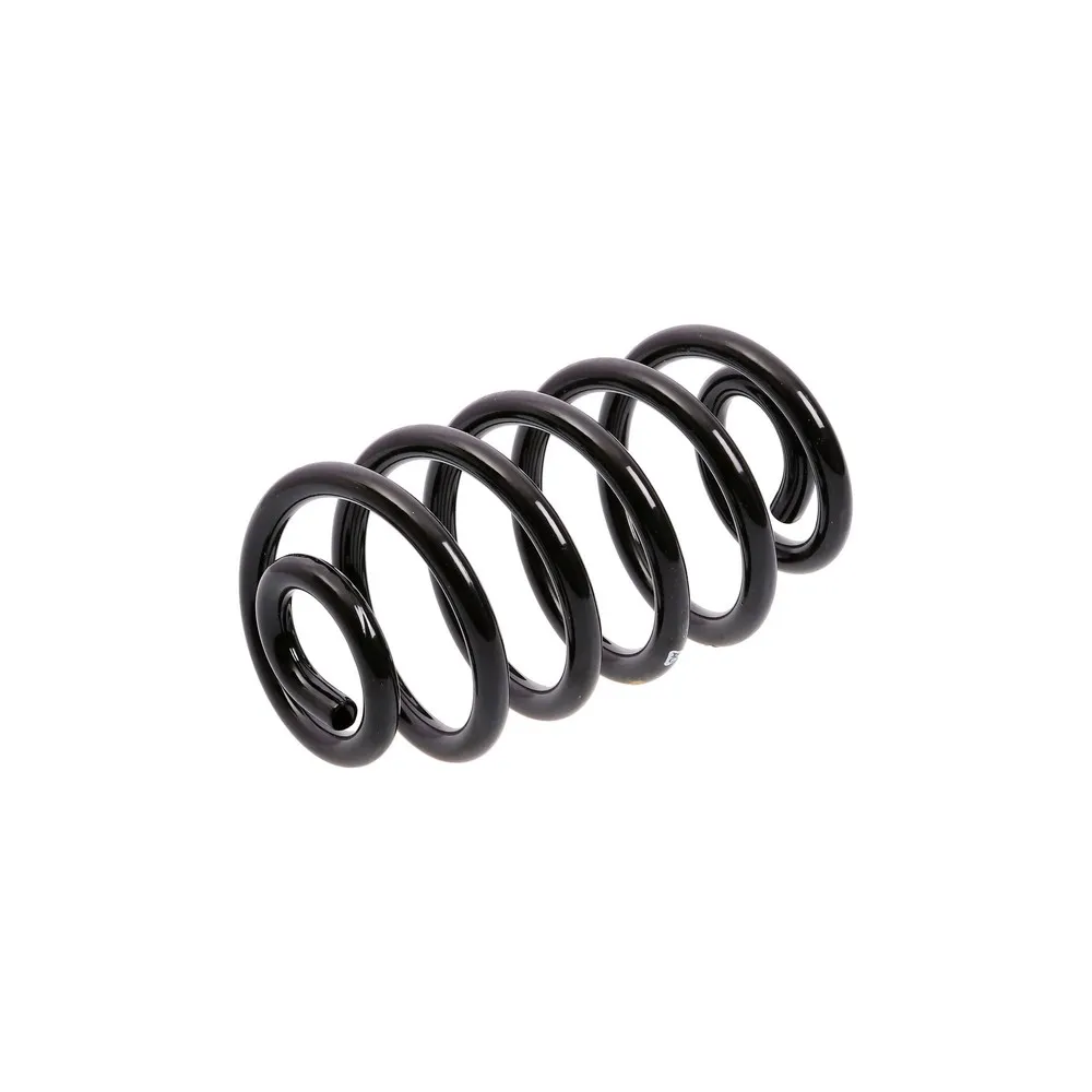 ESPIRAL DE SUSPENSIÓN TRASERO AG - 1-213112R